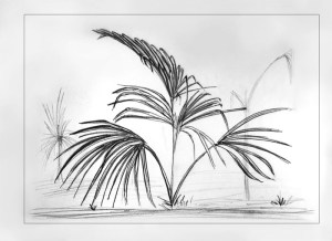 Plant Beside The Path