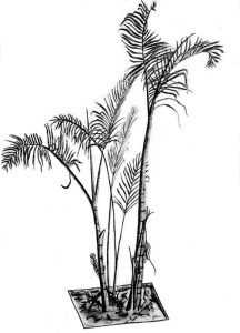 Before It Was Killed