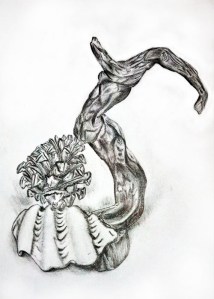 Shell, Pine and Drift Wood