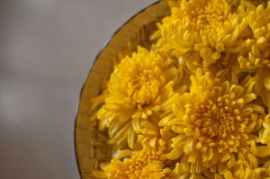 Dying To Make You Smile