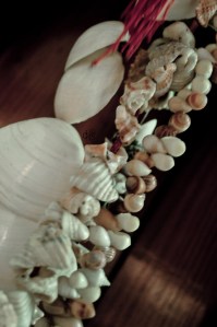 Seashells and strings