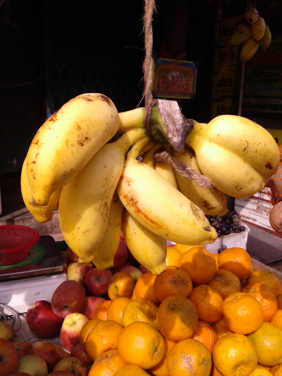 Fresh Bananas