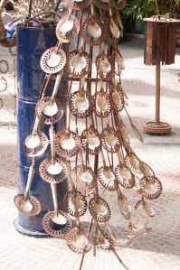 The 'eyes' on the peacock's tail