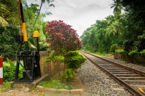 Train Tracks Towards Trichy