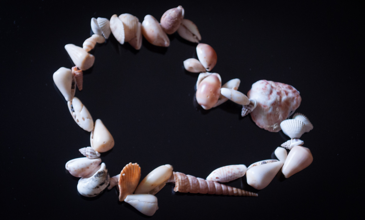 Seashells on a string